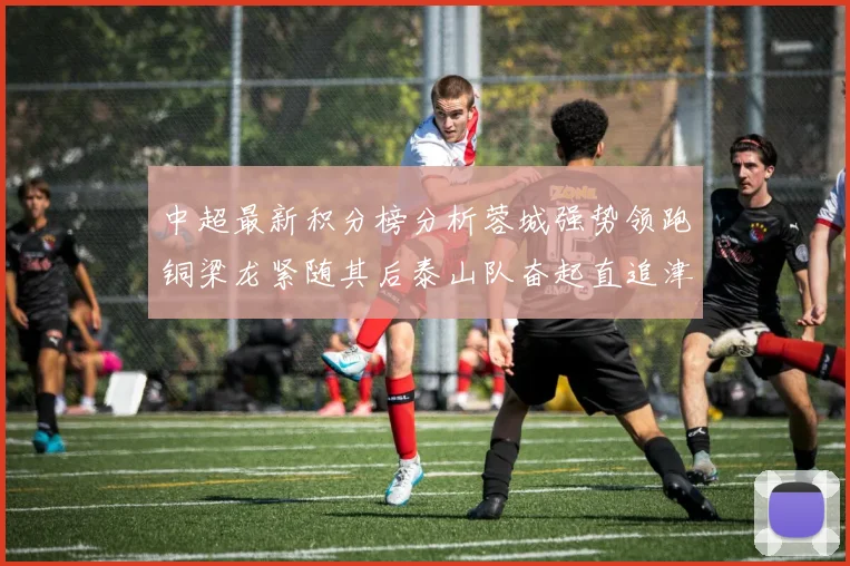 中超最新积分榜分析蓉城强势领跑铜梁龙紧随其后泰山队奋起直追津门虎仍需努力